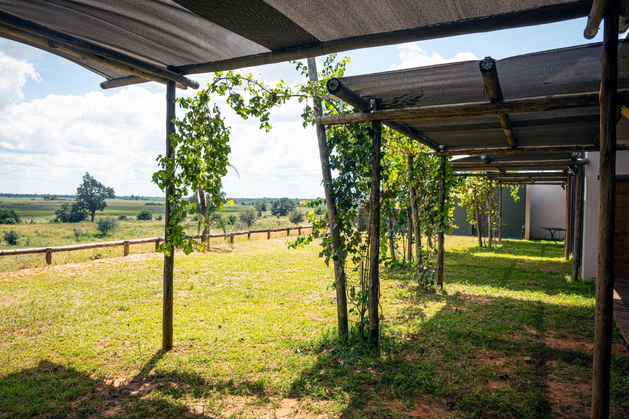 Kazondwe Camp And Lodge Kongola Luaran gambar